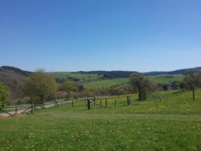 Гостиница Zur schönen Aussicht  Хелленталь